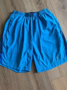 Nike Dri-Fit Men's Small Shorts